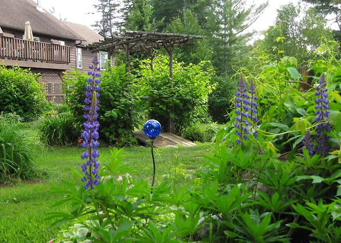 Spring Lake Resort