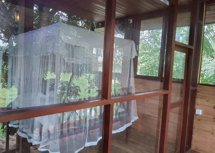 Green Herbal Ayurvedic Eco-Lodge