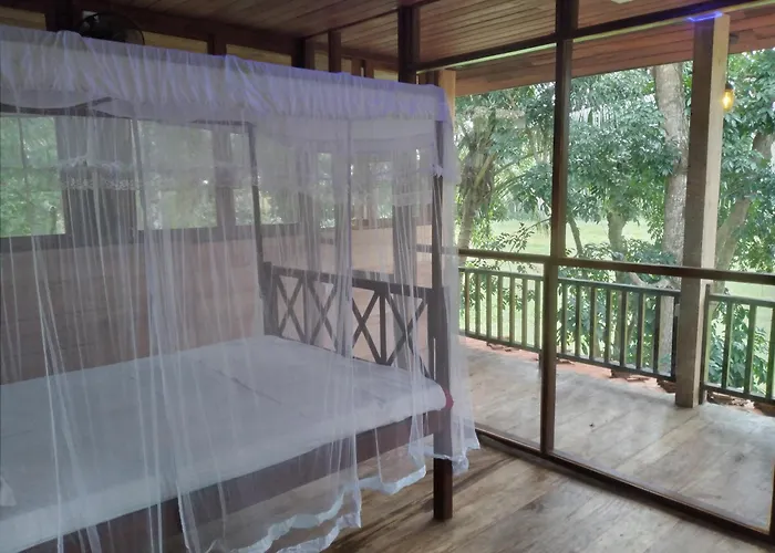 Green Herbal Ayurvedic Eco-Lodge