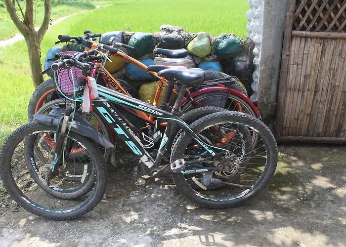 Shivas Hippies Colony