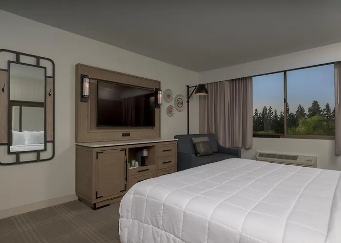 Knott'S Hotel