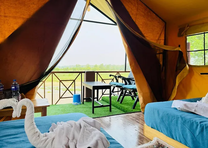 Jungle Wildlife Camp