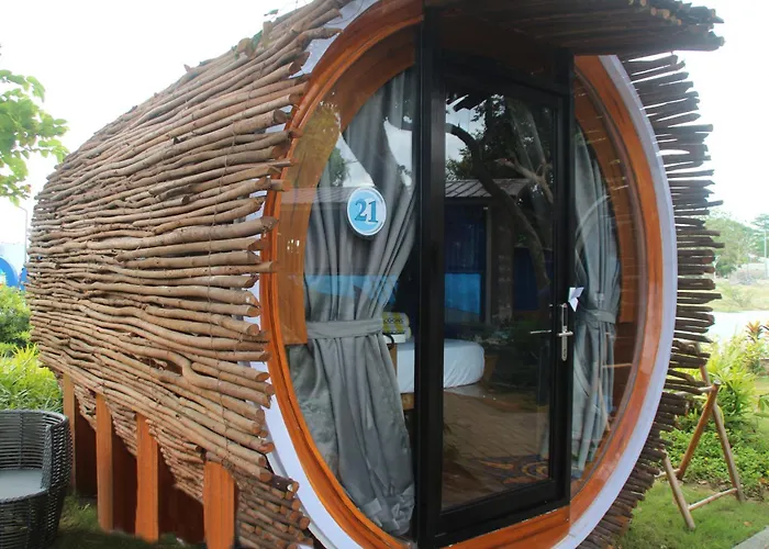 Cocoons Casobe