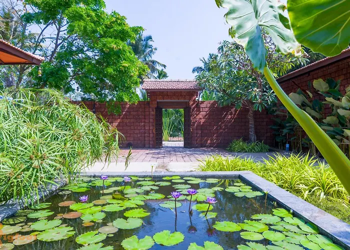 Jomo Resort