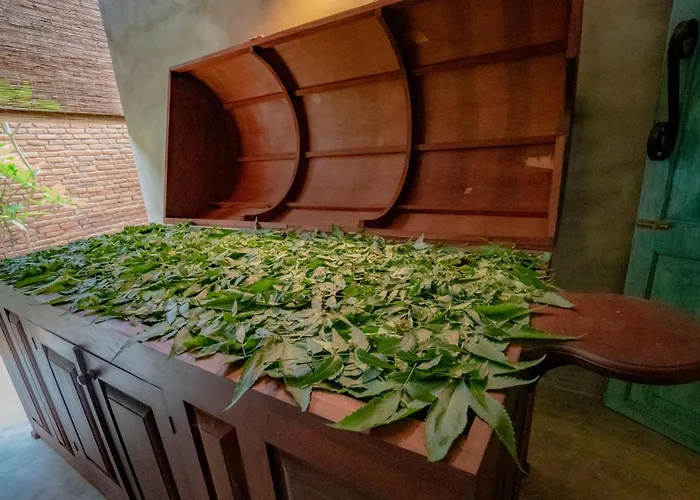 Ayur Ayur Resort & Ayurveda Retreat