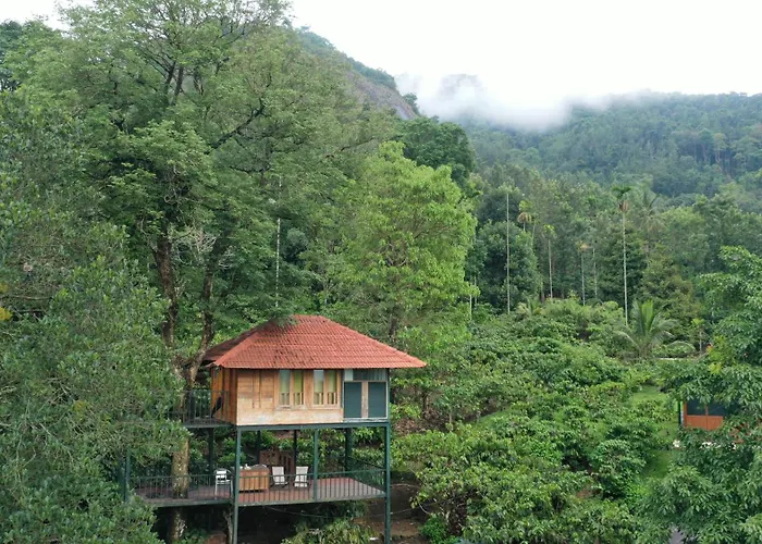 Avadale Wayanad - Stag Groups Not Allowed