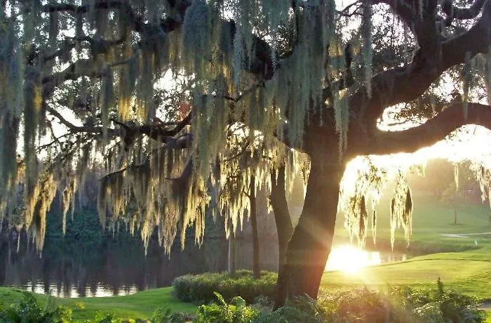 Innisbrook, A Salamander Golf & Spa Resort