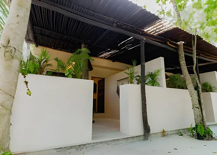 Nomadas- Estudios Bacalar