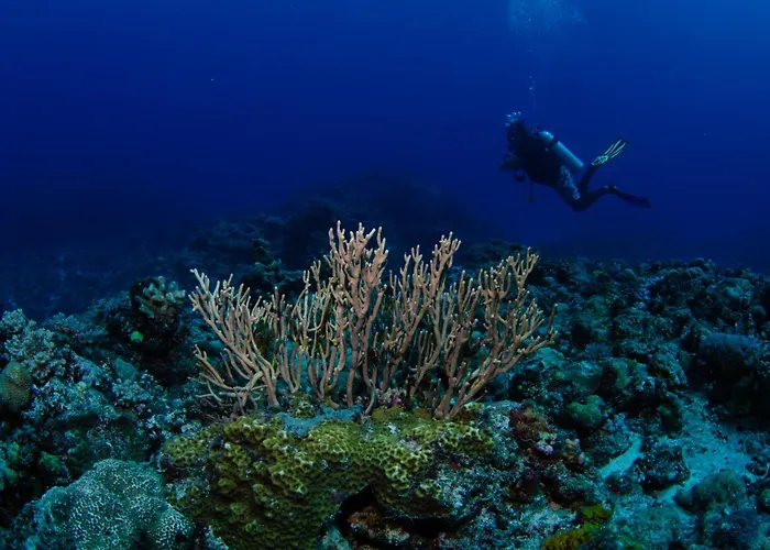 Tranquility Island Eco Dive Resort