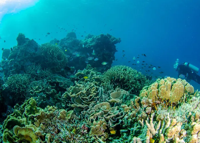 Tranquility Island Eco Dive Resort