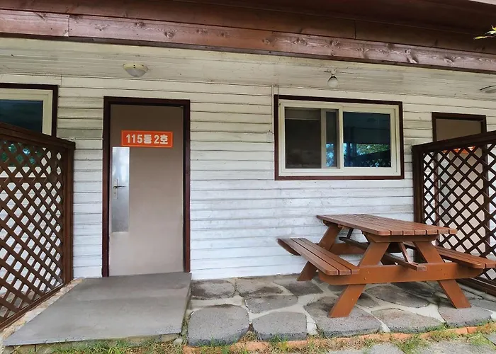 보성녹차리조트