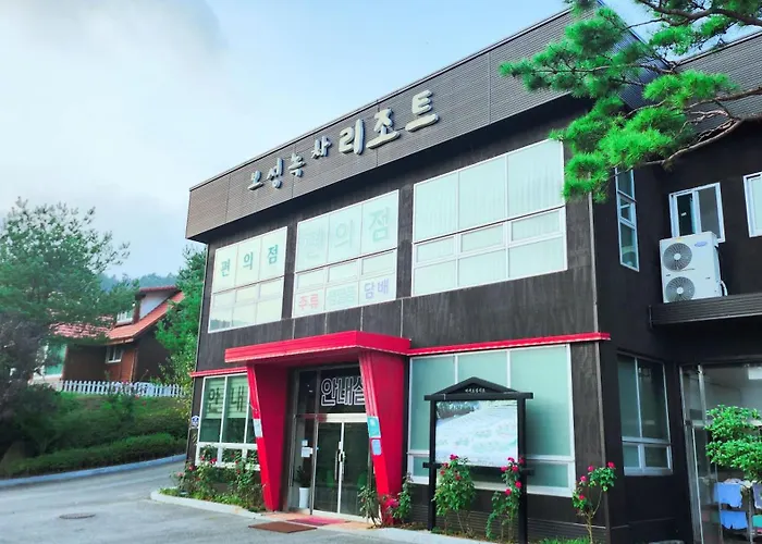 보성녹차리조트