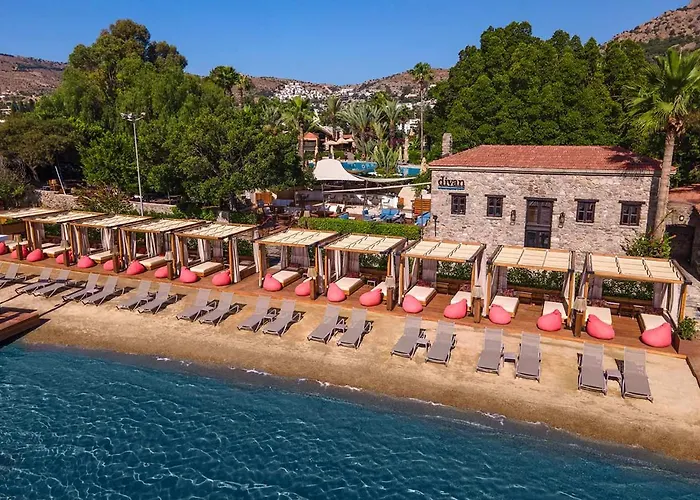 Divan Bodrum Palmira