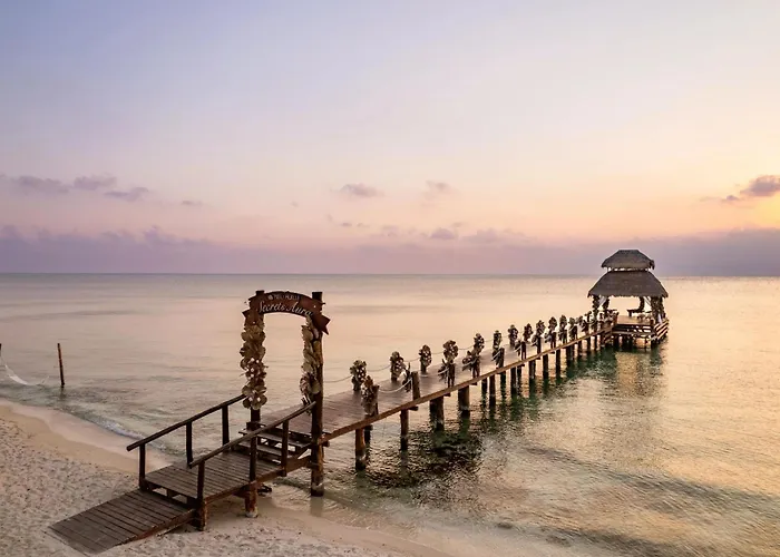 Secrets Aura Cozumel - Adults Only