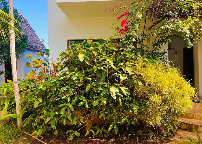 Tropical Nungwi