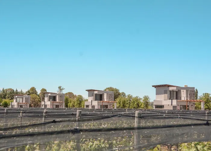 Agrelo Vines Lodge