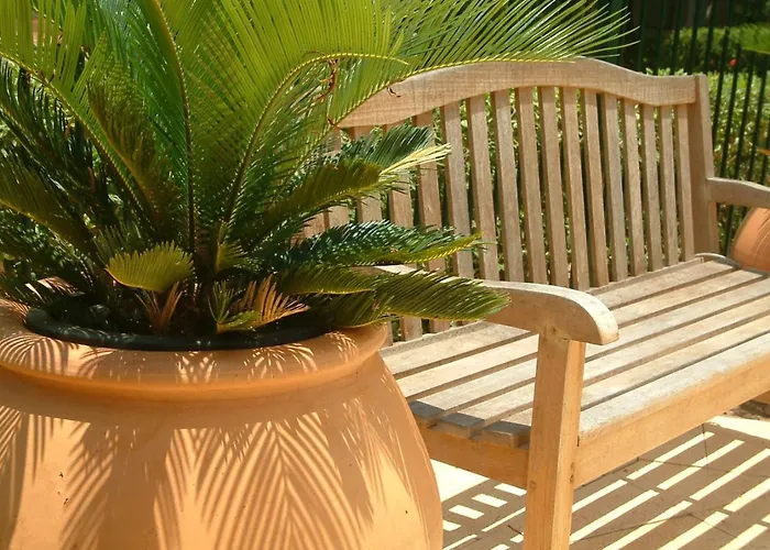 Cocos Beach Bungalows