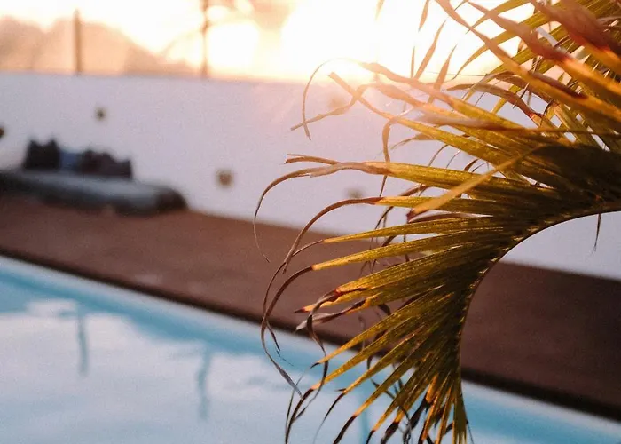 Surf & Yoga Retreats Fuerteventura