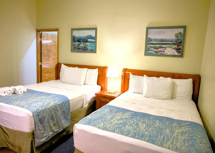 Mountain Pine Ridge Reserve Resorts