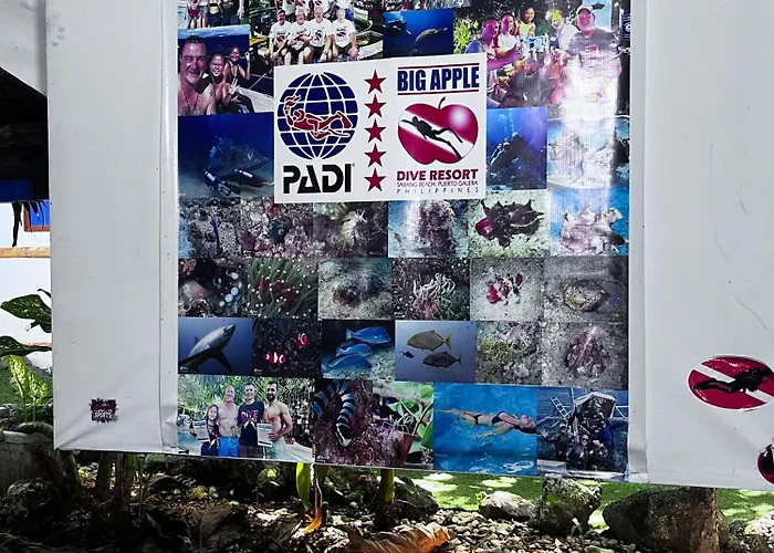 Big Apple Dive Resort