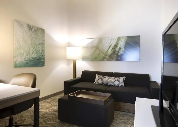 Springhill Suites By Marriott Savannah I-95 South