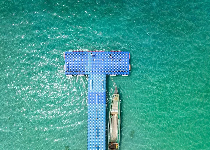 Yogu'S Woodside