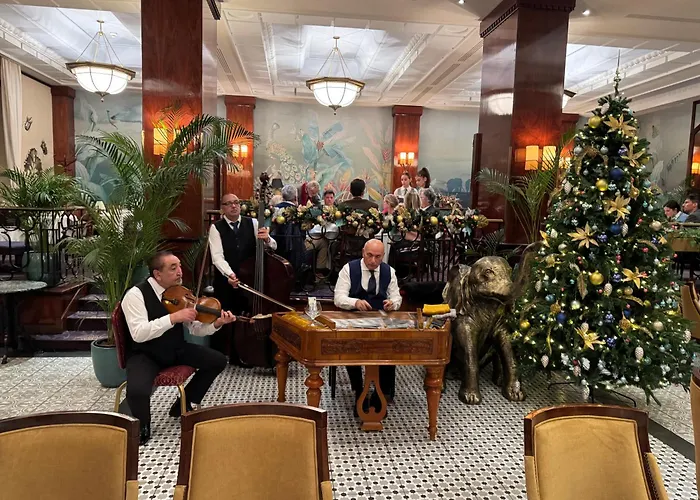 Hotel Veritas