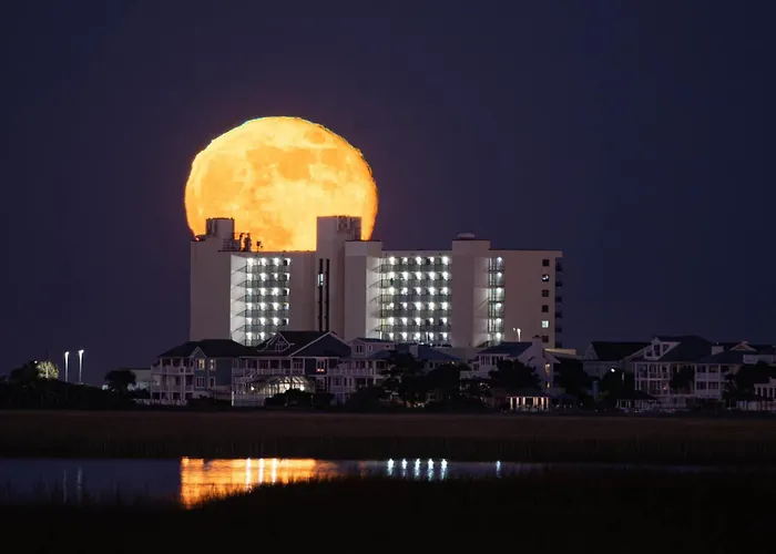 Shell Island Resort - All Oceanfront Suites