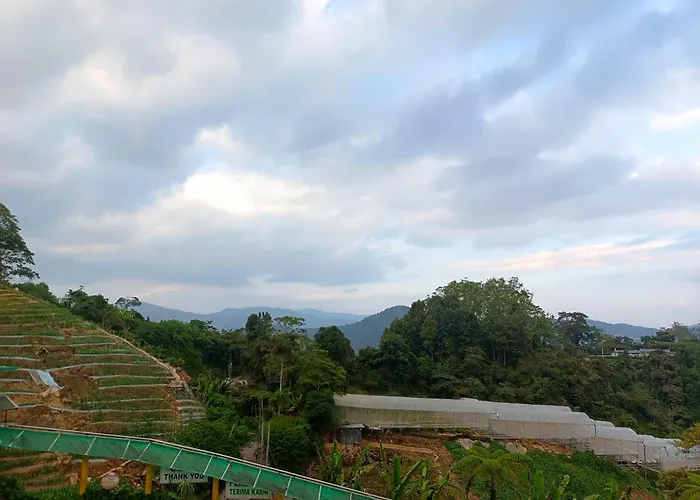 Cameron Highlands Blueberry Earth House