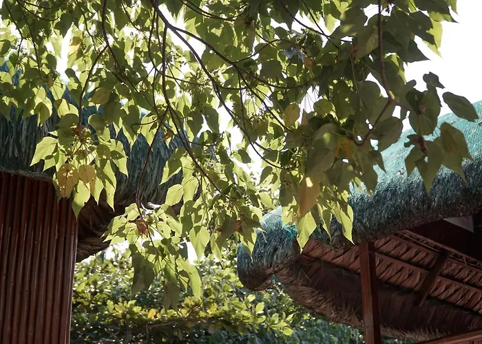 The Blessed Purple Bamboo Beach Resort
