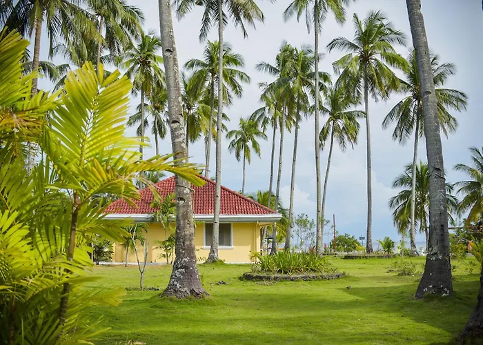 Sipaway Island Resort Inc Former Whispering Palms Resort