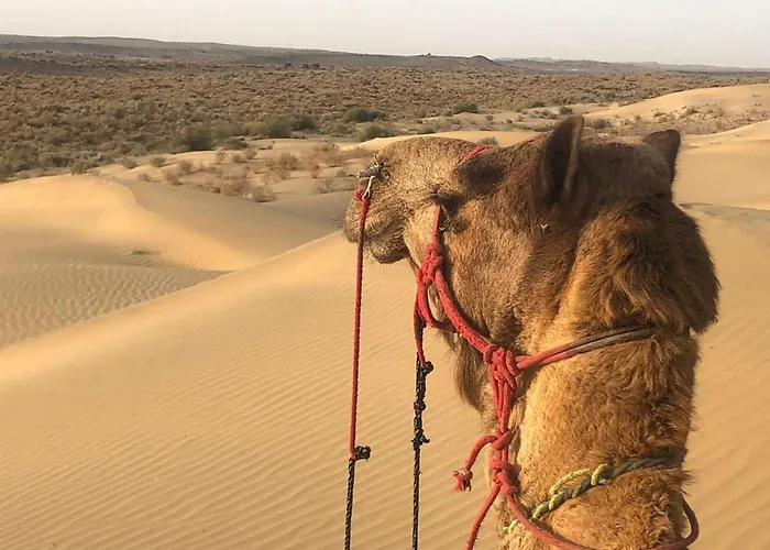 Arman Desert Luxury Camp & Resort Jaisalmer