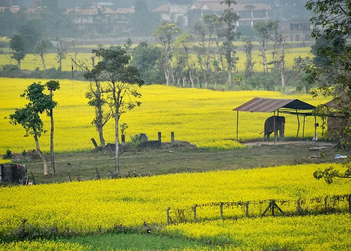 Sweet Home