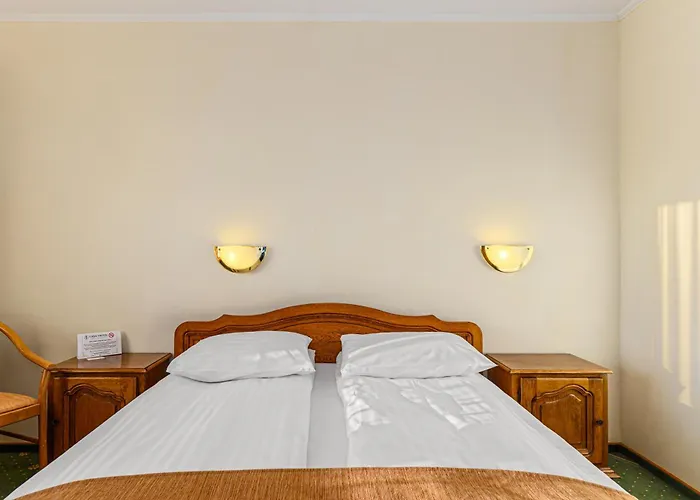 Hotel Casa Viorel Jacuzzi & Saunas