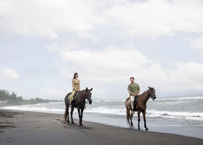 Swan Paradise A Pramana Experience
