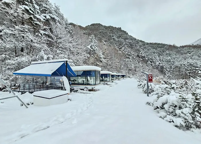Galaxy X Hotel Type Caravan Glamping & Pension