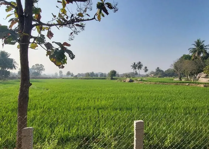 Tranquil Hampi