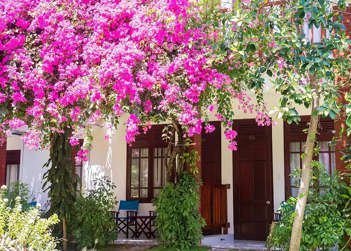 Four Oceans Beach Resort - Bon Bien Mui Ne