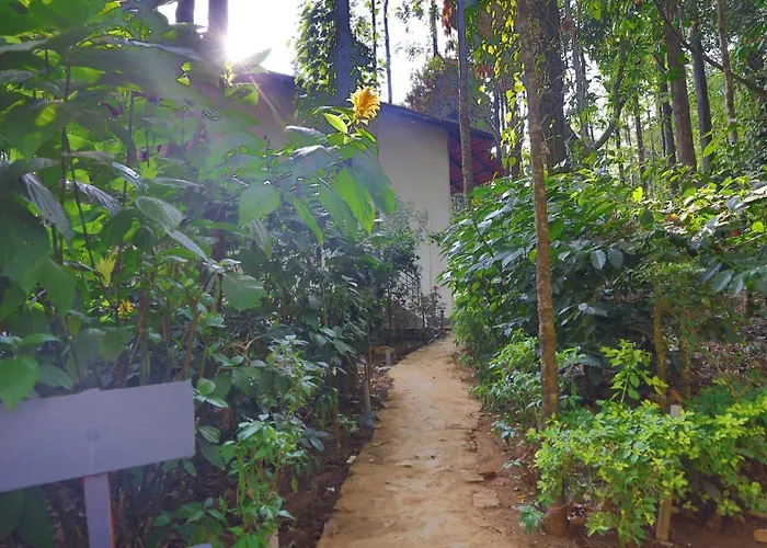 The Spectrum Resort - Chikmagalur