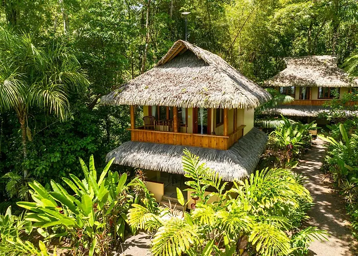 Copa De Arbol Beach & Rainforest Resort