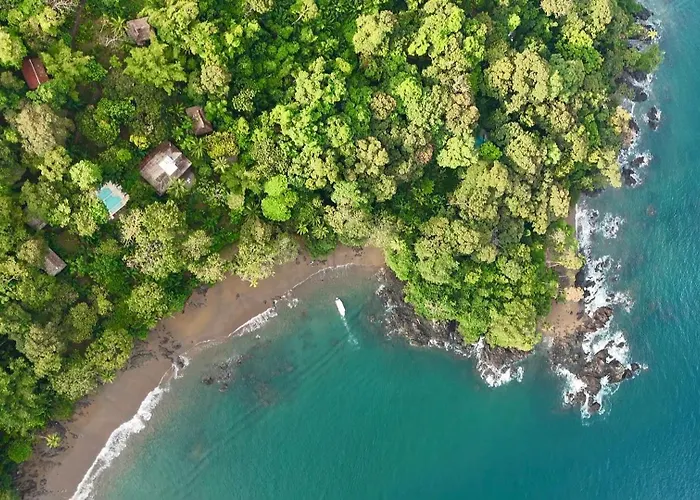 Copa De Arbol Beach & Rainforest Resort