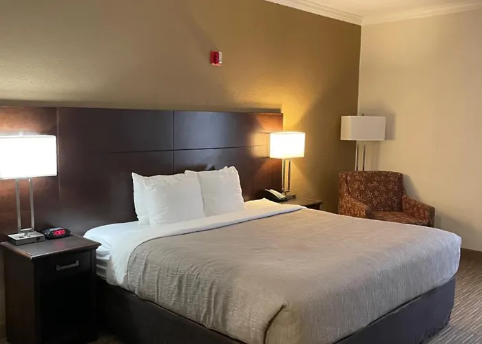 Quality Inn & Suites Seabrook- Nasa- Kemah