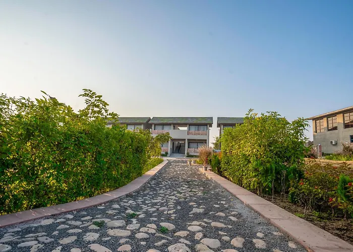 Palpur Fort A Kuno Wildlife Resort