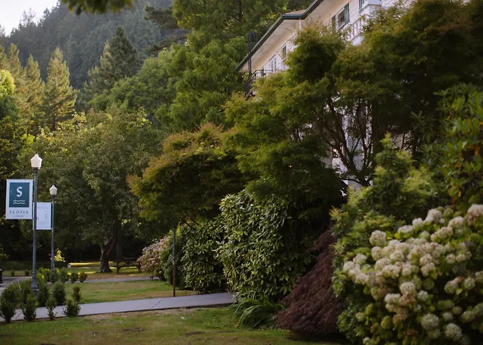 Scotia Lodge