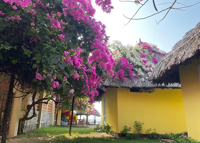 Orchid Boutique Beach Resort
