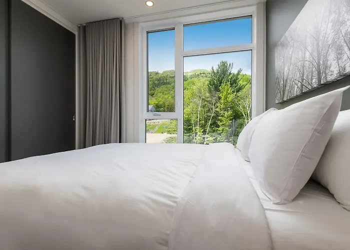 Les Appartements Du Massif De Charlevoix