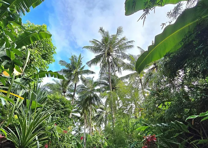 Isola Del Sole Villas And Resort