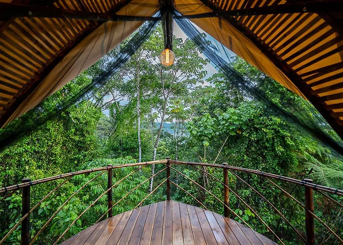 Qasa Boutique Hotel And Retreats - Lgbtq