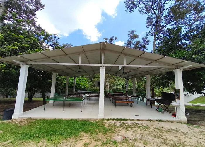 Alsafina Forest Stay