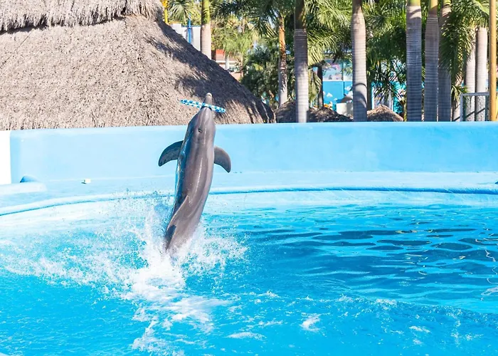 Nuevo Vallarta Spa Resorts
